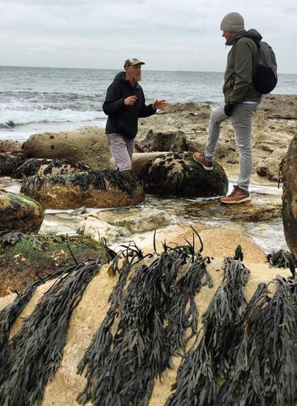 Foraging For Seaweeed