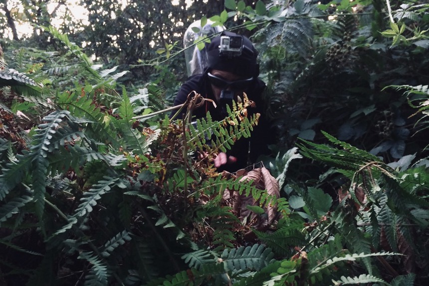 Crossed Paths Badger, Miranda Whall, 2019, Photos By Hannah Mann 3