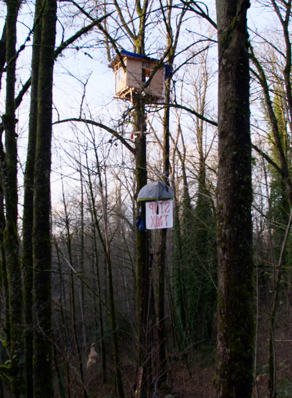 Ben Kurtis Cottonwoodtreehouse3