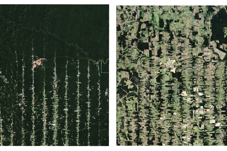 Amazon Deforestation Timelapse