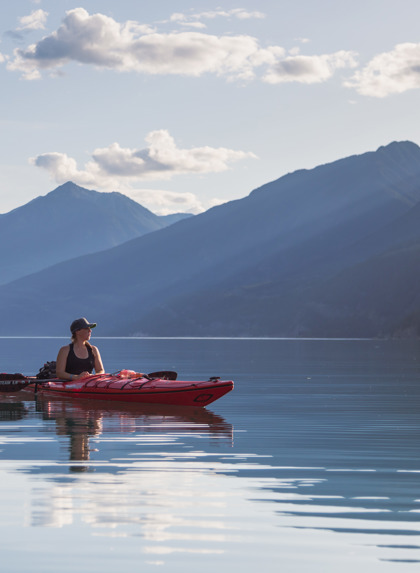 Neil Irwin Canada