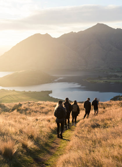 Jacksonlana Wanaka NZ