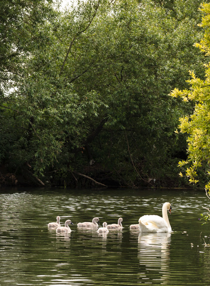 Saltford Rachel Taylor