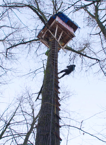 Ben Kurtis Cottonwoodtreehouse6