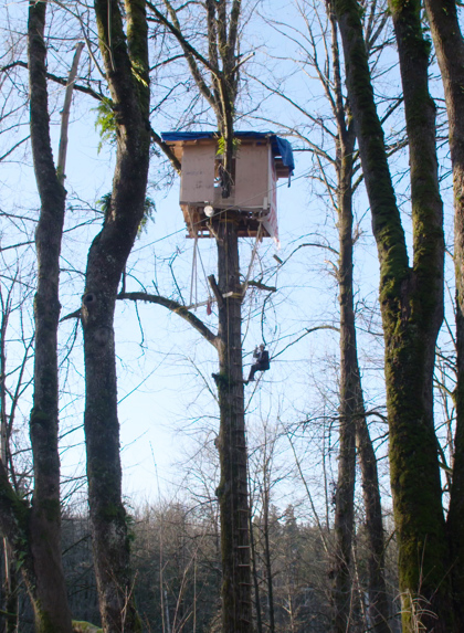 Ben Kurtis Cottonwoodtreehouse7
