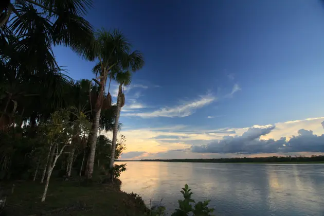 Unexploring Amazon River, Peru Photo Mike Webster
