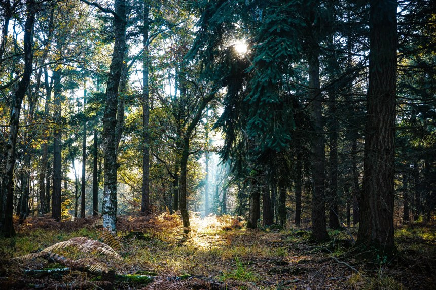 James Aldred 06 Liam Charmer Vxunlwdjdo Unsplash (2)