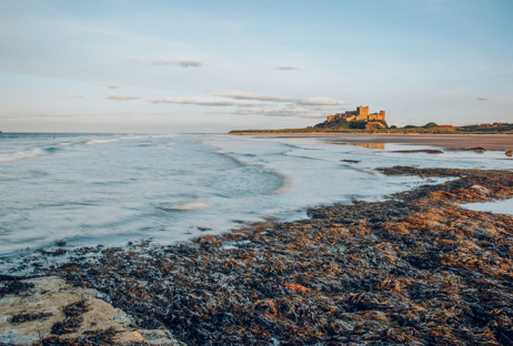 Philip Veater Xdqzgpzban0 Unsplash (1)