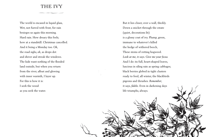 Rob Cowen 7 The Ivy Extracted From The Heeding 1