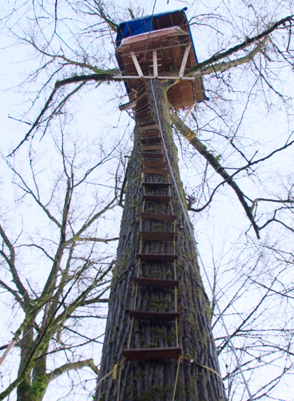 Ben Kurtis Cottonwoodtreehouse5