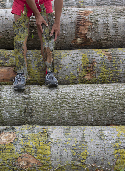 Michal Iwanowski, tree bark, Go Home Polish, Adventure Uncovered