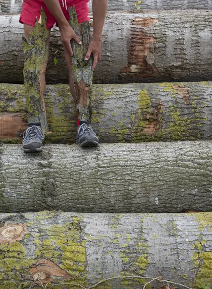 Michal Iwanowski, tree bark, Go Home Polish, Adventure Uncovered