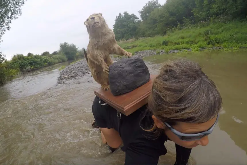 Preparation Image For Crossed Paths Otter, Miranda Whall, August 2020
