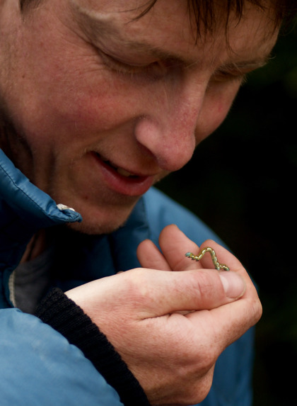Franklin 18 03 Oliver Cassidy And A Franklin River Insect (Credit, Francois Fourie)
