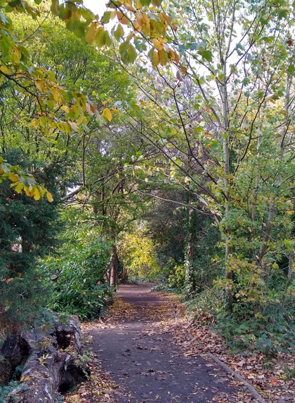 Ingrina Shieh Dulwich Park