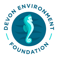 DEF Logo