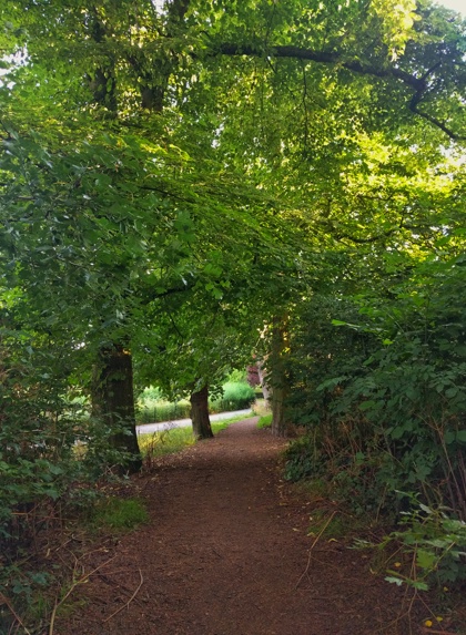 Ingrina Shieh Clissold Park