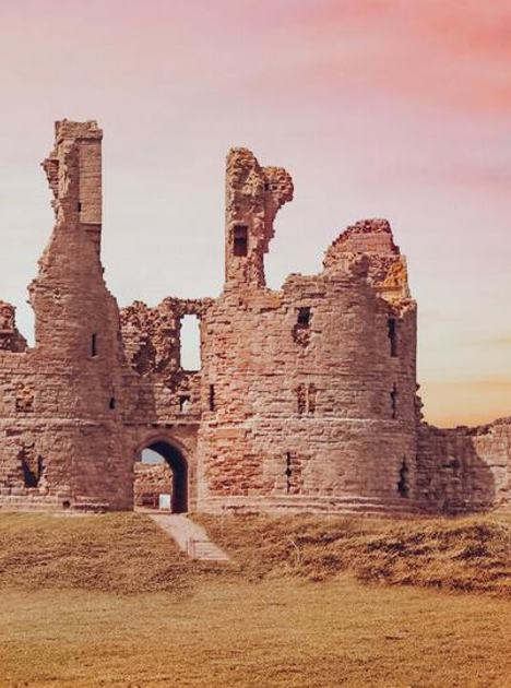 D Castle (1)