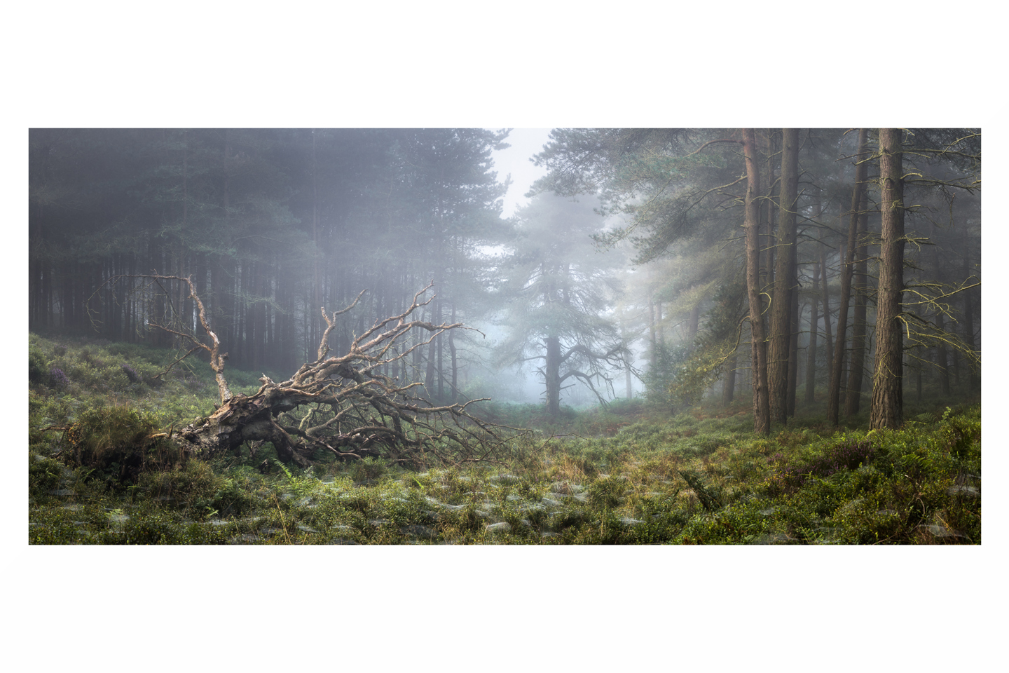 Simon Baxter Valley Stories III Larger 250 Edit2