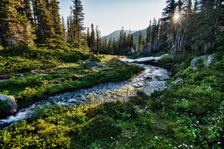 Ashli Blow 10 Olympic National Park Jachan Devol Sseqdoikd8u Unsplash